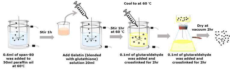 젤라틴 마이크로 입자 제작 방법 모식도(Water-in-Oil 방법)