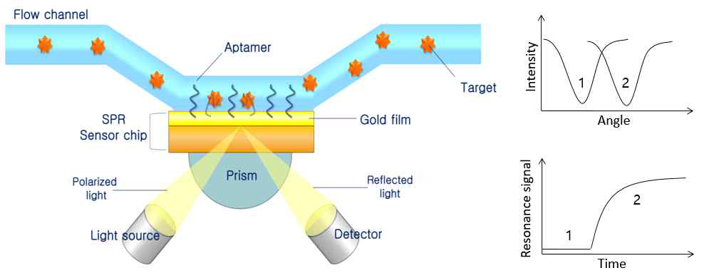 SPR assay를 이용한 앱타머 쌍 스크리닝 모식도