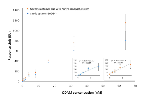 단일 앱타머 및 앱타머 쌍을 이용한 SPR 기반 바이오센서의 ODAM 에 대한 민감도 측정