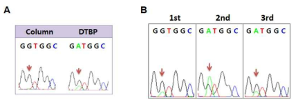 . DTBP를 이용하여 분리한 cfDNA의 돌연변이 확인