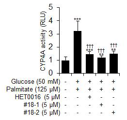 #18-1 및 #18-2의 처리에 따른 CYP4A enzyme activity 변화