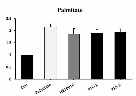 CYP4A 저해 유효물질 18번 유도체 lipid accumulation 결과