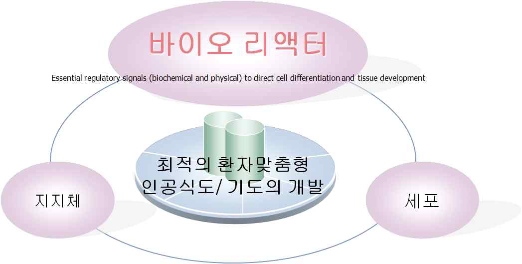 환자맞춤형 인공식도 개발을 위한 바이오 리액터 모식도. 내측 및 외측 관류는 물론 내측의 pulsatile stimulation과 종축의 주기적 elongation 의 기능으로 실제 식도환경과 유사한 배양환경 제공