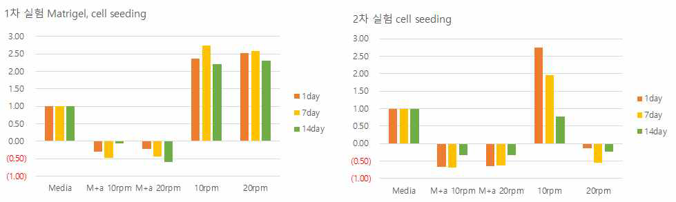 Bioreactor의 회전속도에 기관지지체 내외부의 세포증식 상태 비교