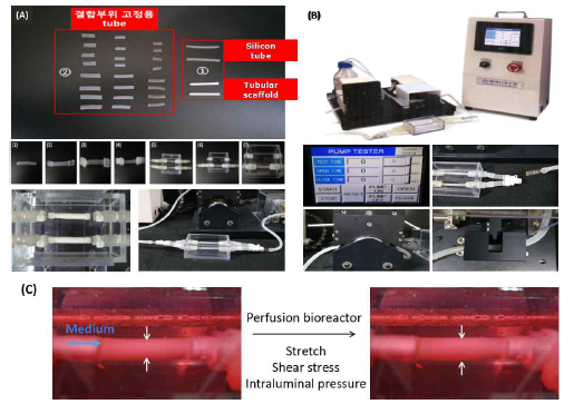 3차원 tubular type scaffold에 flow를 engage 할 수 있는 시험기계