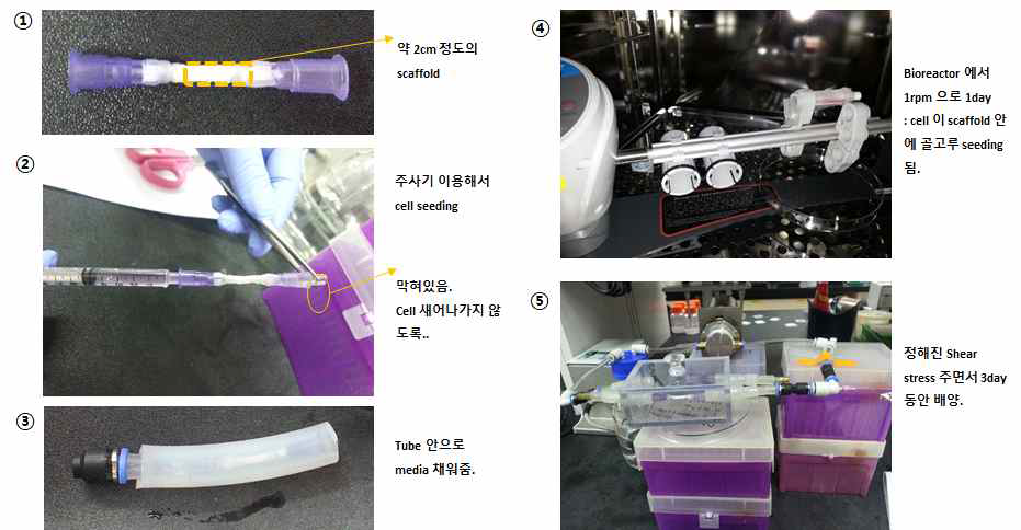 바이오리액터의 배양 세팅 방법
