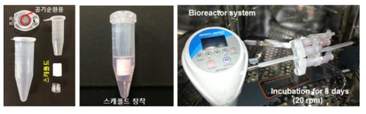 Bioreactor system의 요소 장치 및 iPS-MSC-chondrocyte의 배양