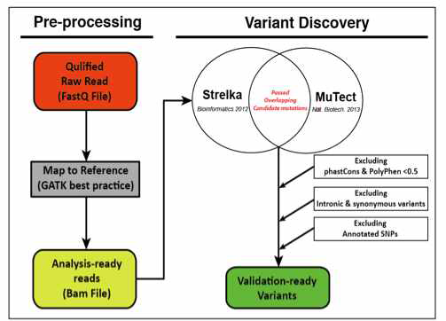 본 연구 팀이 구축한 bioinformatic analysis pipeline for brain somatic mutation