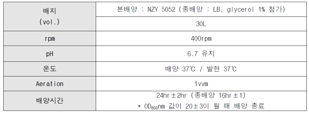 30L scale up 배양공정 조건