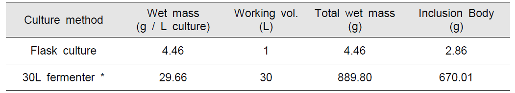 30L 배양 수율향상 (* 대표 데이터)