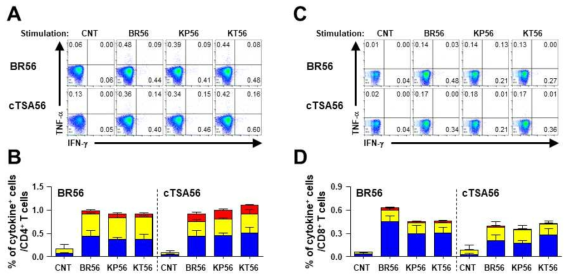 cTSA56 및 Boryong 유전형 유해 TSA56(BR56)항원을 생쥐에 3회 면역하고 2주 후 얻어진 비장세포를 이용하여 다양한 유전형들(Boryong: BR56, Karp: KP56, Kato: KT56)에서 유래한 TSA56 항원들에 대한 항원특이적 T 세포 반응 검사. A, B: 항원특이적 CD4 T 세포 반응, C, D: 항원특이적 CD8 T 세포 반응. 노란색: TNF-a 양성 T 세포 분율, 파란색: IFN-g 양성 T 세포 분율, 빨간색: TNF-a/IFN-g 양성 T 세포 분율