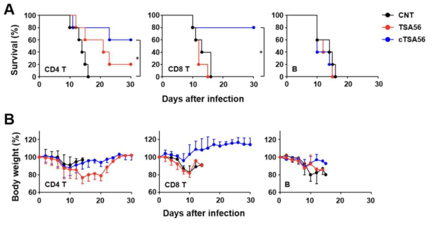 cTSA56과 Boryong 유전형 유래 TSA56 단백질 항원을 면역한 생쥐에서 유도되는 림프구 이식을 통한 보호 면역 제공 기전 연구결과. 단백질 항원을 3회 면역한 생쥐의 비장에서 CD4 T 세포, CD8 T 세포, B 세포를 각각 분리정제하고 이를 면역되지 않은 생쥐에 이식한 후, 100 X LD50의 Karp 유전형 균주를 복강 접종함. 감염 후 한달간 몸무게 변화와 생존율을 관찰하여 보호면역 제공 유무를 확인한 결과. 생존률 변화(A), 무게변화 (B) *: p < 0.05