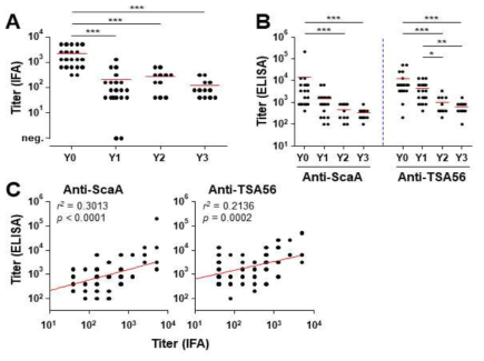 쯔쯔가무시병에서 회복된 환자들 (2주내: YO, 회복 1 ~ 3년 후: Y1 ~ Y3)에서 쯔쯔가무시균에 대한 IFA 항체 역가 (A) 및 ScaA와 TSA56에 대한 IgG 항체 역가 추적 분석 (B). IFA항체 역가와 ScaA 및 TSA56에 대한 항체역가 사이의 상관성을 비교 분석한 결과