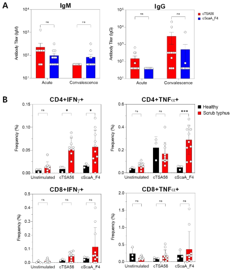 쯔쯔가무시병 환자의 인체유래물 (혈장, PBMCs)을 이용하여 cTSA56, cScaA_F4항원-특이적 항체, 세포성 면역반응을 확인한 결과