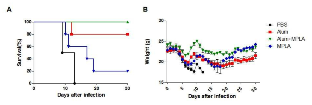 재조합 항원 F4V2와 면역보강제를 혼합하여 C57BL/6 생쥐에 2주 간격으로 3회 투여한 후 100LD50 Karp균주를 감염하여 백신 효능 평가. (A)마우스 생존률, (B) 체중변화