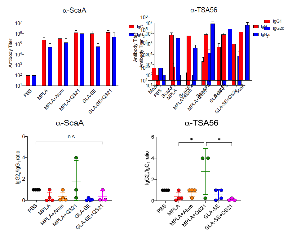 F4V2단백항원과 다양한 백신보강제 혼합물에 의해 유도된 항원-특이적 항체반응 결과. 항원-특이적 항체 역가(A), IgG2c/IgG1 ratio(B)