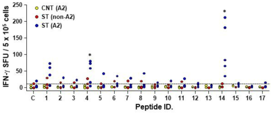 CD8 T 세포에 특이적으로 반응할 수 있을 것으로 예측된 17 개 peptide epitope들의 세포 반응성 (IFN-g 생산 ELISPOT 분석) 검사를 통해 epitope의 효용성 검증 결과. peptide 4번과 7번이 대조군에 비하여 유의한 수준의 세포반응성을 보임. *, p < 0.05