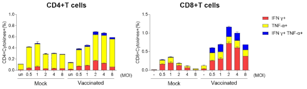 F4V2항원과 Alum+MPLA백신보강제 혼합물을 면역한 Rhwsus macaque의 PBMCs수집함. 살아있는 쯔쯔가무시균을 농도별 반응시킨 후, 균-특이적 T세포 반응성을 검증한 결과