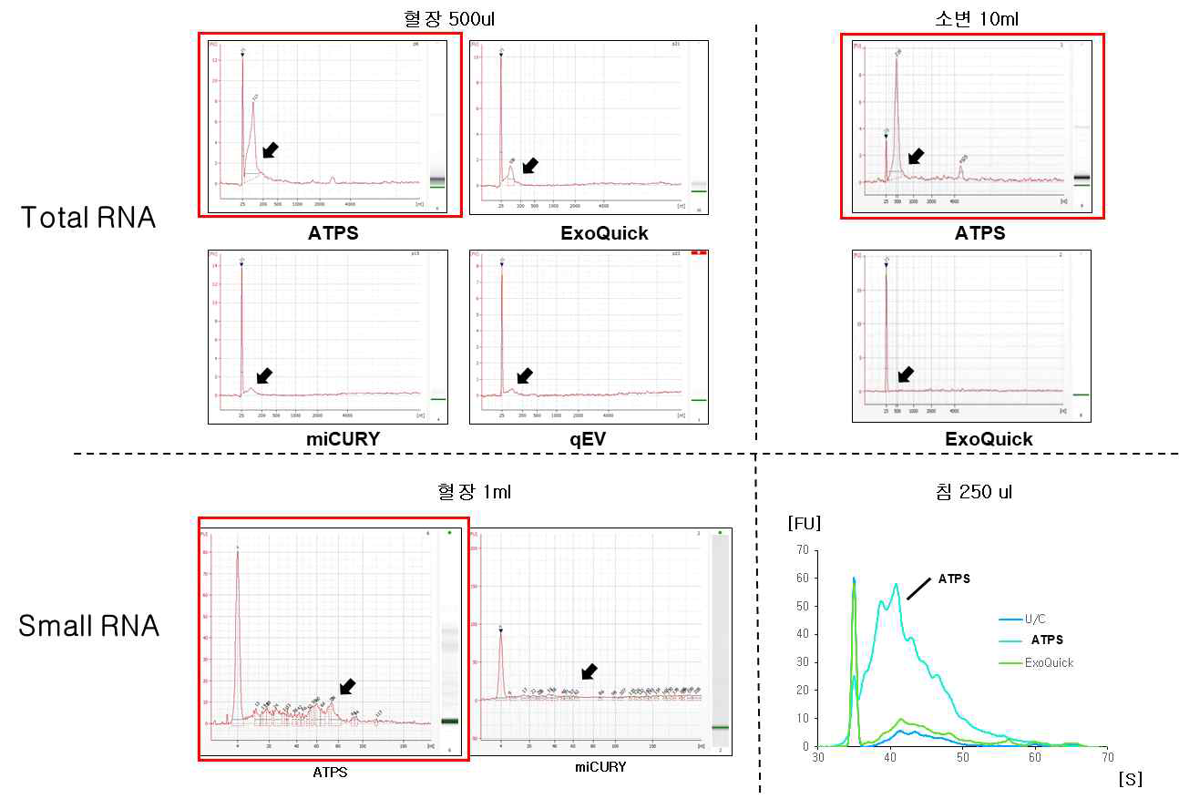 최적화된 ATPS와 기존 분리 키트로 분리한 세포 밖 소포체를 이용한 Bioanalyzer 결과