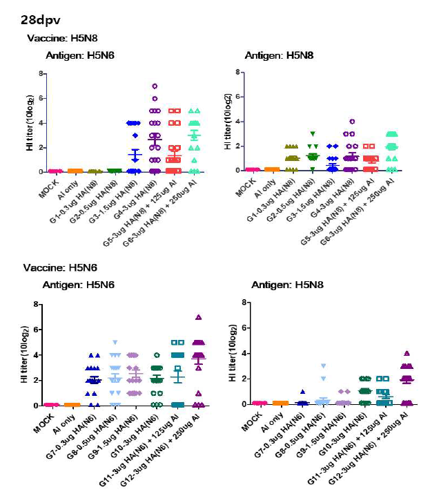 H5N8 및 H5N6백신 투여 28일 후 HI assay를 통한 항체 역가 측정