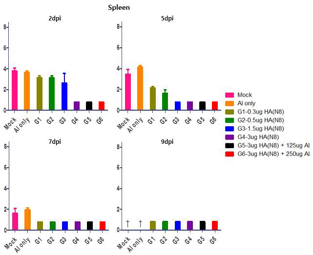 H5N8 백신 투여 후 maH5N8에 대한 마우스 비장 조직에서 바이러스 증식성 검증