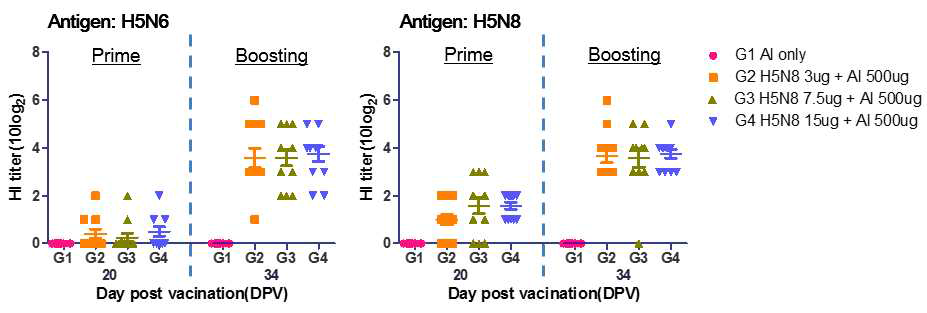 H5N8 백신 투여 20일 34일 후 HI assay를 통한 항체 역가 측정