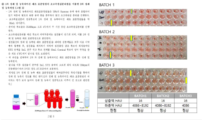 GMP 비임상 표준항원 2차 정제 및 농축 과정