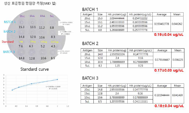 생산된 표준항원의 항원량 측정 (SRID 법)