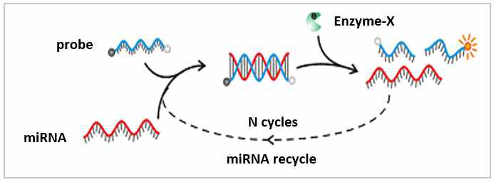 새롭게 개발한 miRQ-EX 나노센서 분석기술은 기존의 DNA-은나노센서 분석법과 비교하여 민감도가 높으며, 간단하고 형광이 안정적인 장점을 보유함