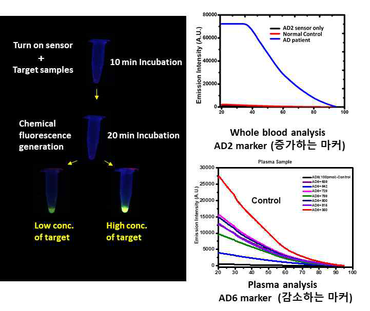 Turn-on 센서의 작용 모식도 및 환자와 정상인에서 탐지 결과: AD2, 환자에서 증가하는 miRNA AD6, 환자에서 감소하는 miRNA