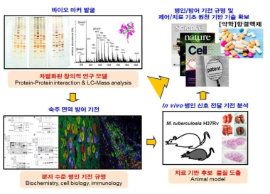 항결핵 신물질 발굴의 전략적인 차별화