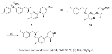 플루오르화 반응과 Boc제거 반응을 이용한 표지화 반응 최적화
