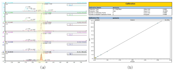 각각의 농도에 따른 세로토닌 양의 증가(RT = 3.3 min)와 Calibration 그래프