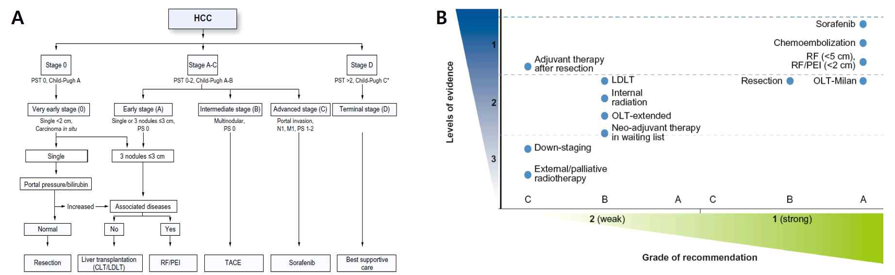 현재의 BCLC 가이드라인에서, 근치적 치료가 불가능한 환자의 표준 치료는 chemoembolization (TACE) 와 sorafenib 이며 매우 높은 근거 수준을 갖고 있음 (EASL 56:908-943)