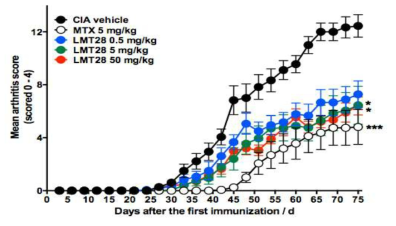 콜라젠 유도 관절염모델에서 LMT-28의 억제효능. 1차면역화와 동시에 LMT-28을 군당 8~10마리씩 50, 5, 0.5 mg/kg와 MTX 5 mg/kg의 용량으로 주 6회 경구투여함. 1차면역화 후 3일마다 관절염지수를 측정하였음. LMT-28 50, 5, 0.5 mg/kg의 용량군에서 CIA군(vehicle) 대비 염증완화 효과를 보임