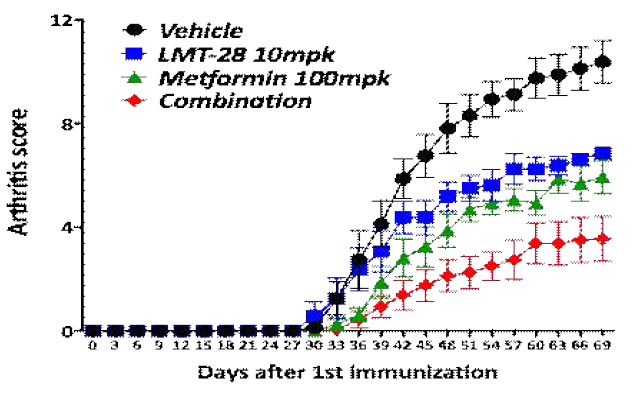 콜라젠 유도 관절염모델에서 LMT-28과 기존 당뇨병 치료제로 사용중인 약물 Metformin을 병용 투여하여 관절염의 억제효능. 1차면 역화와 동시에 군당 10마리씩 LMT-28을 10 mg/kg, Metformin 100 mg/kg과 combination 10 + 100 mg/kg의 용량으로 주 6회 경구 투여함. 1차면역화 후 3일마다 관절 염지수를 측정하였음. LMT-28과 Metformin의 combination군에서 CIA군(vehicle) 대비 염증완화 효과를 보임