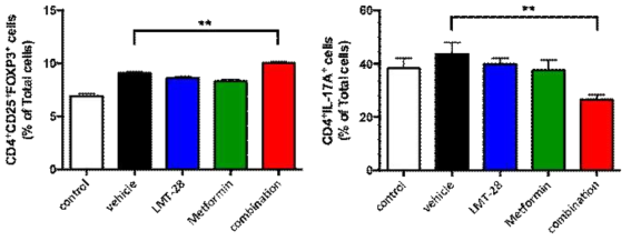 콜라젠 유도 관절염모델에서 LMT-28과 Metformin, combination군의 보조 T 세포의 조절. 1차면역화와 동시에 군당 5마리씩 LMT-28 10 mg/kg와 Metformin 100 mg/kg, combination 10+100 mg/kg의 용량으로 주 6회 경구투여함. 1차면역화 후 5주째에 마우스의 lymph node를 분리하여 Th17 세포와 Treg 세포를 측정하였음. Combination 군에서 Treg 세포가 증가하였고 Th17 세포가 감소함을 확인하였음