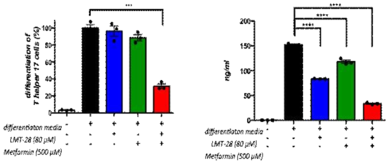 LMT-28, Metformin, combination군에 의한 T helper 17 세포의 분화 억제. 마우스의 spleen에서 naive CD4+ T cell을 분리하여 Th17 세포 분화배지로 분화 시킬 때, LMT-28 80 μM, Metformin 500 μM, combination 80+500 μM을 각각 처리하여 Th17 세포의 분화억제효과를 확인하였음. Th17 세포 수와 싸이토카인 IL-17A의 분비를 각각의 약물군 대비 combination군에서 유의한 감소를 확인함