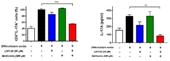 사람 Th17 분화배지에 LMT-28, metformin, combination군을 함께 처리하였음. Combination군에서 가장 유의적으로 Th17 세포로의 분화가 억제되었고, ELISA를 통해 배지 내 Th17 세포가 분비하는 IL-17A level이 감소함을 확인하였음