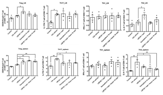 콜라젠 유도 관절염모델에서 1차 면역화 후 5주째에 마우스의 spleen과 lymph node를 분리하여 보조 T 1, 2, 17 세포 (T helper 1, 2, 17 cell)와 조절 T 세포 (T reg cell)를 측정하였음. spleen에서 LMT-28군과 Kaem군, 병용투여군에서 Treg 세포가 유의하게 증가하였고 Th17 세포가 유의하게 감소함을 확인하였음