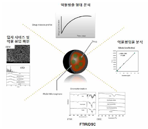 마이크로스피어 제조 후 평가 항목