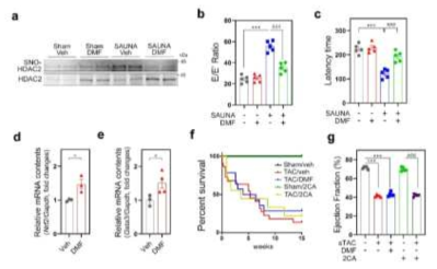 NRF2 inducer, dimethylfumarate, ameliorates HFpEF