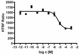 화합물 80의 in vitro CXCR4 inhibition assay