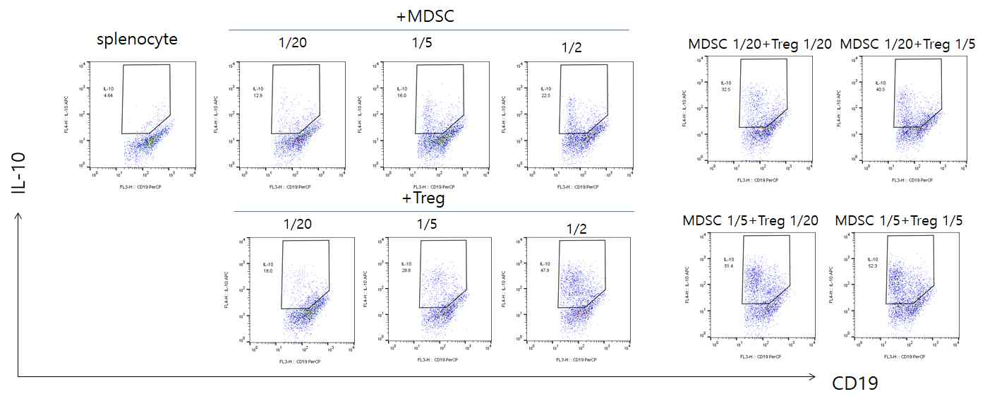 MDSC,Treg에 의한 면역 조절 B세포 활성 조절능