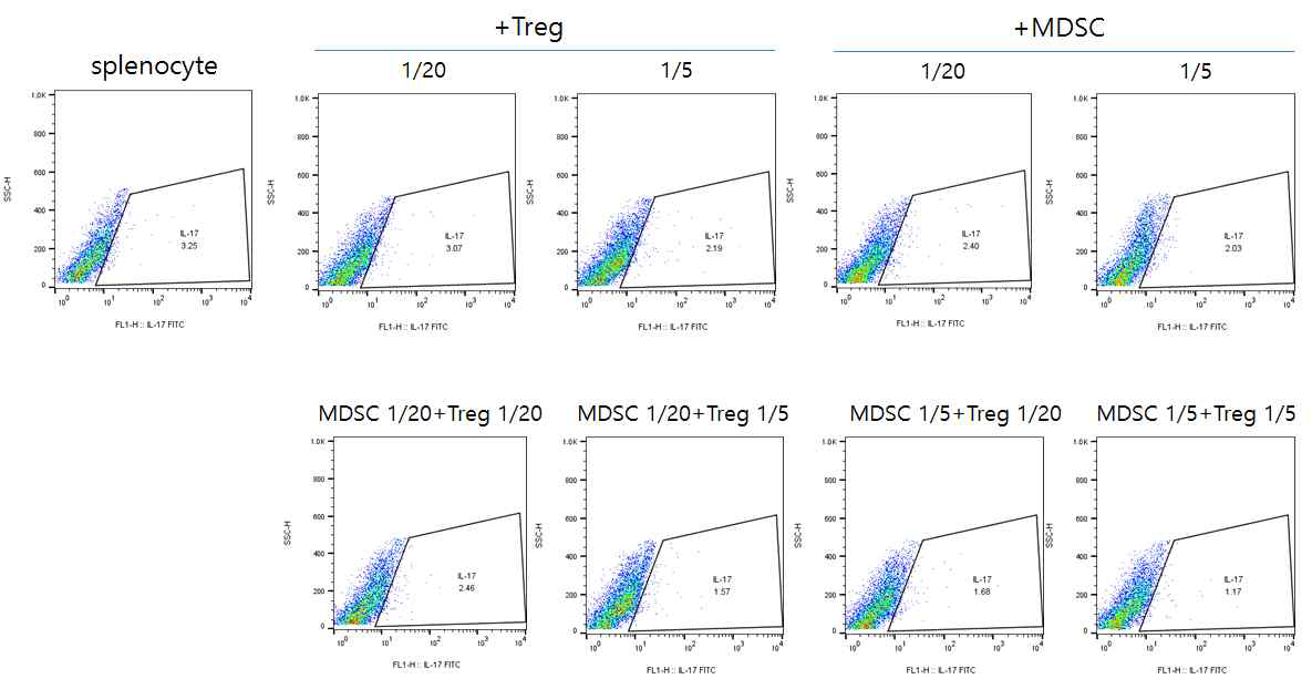 MDSC,Treg에 의한 Th17세포 활성 제어능