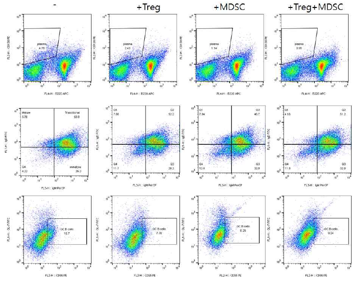 MDSC,Treg에 의한 B세포 아형 조절능