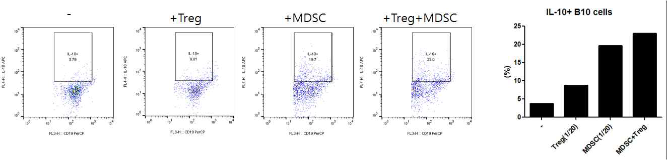 MDSC,Treg에 의한 질환세포내 IL-10분비 면역조절B 세포 활성 증가