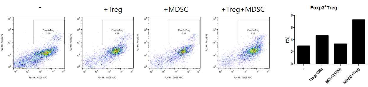 MDSC,Treg에 의한 질환세포내 Treg세포 활성 증가