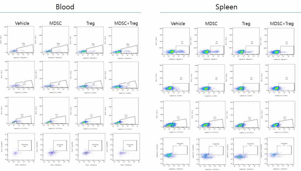 MDSC, Treg 세포의 병용투여에 의한 면역세포 분석(1차 실험결과)