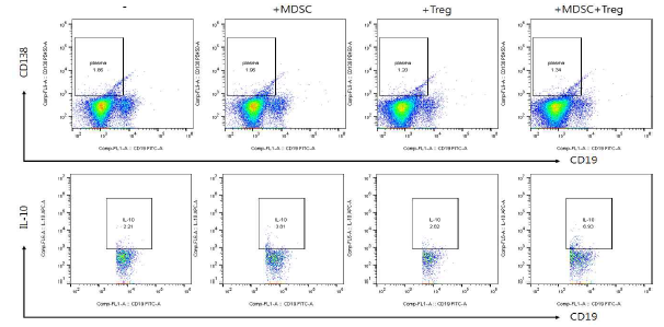 human MDSC,Treg 병합에 의한 Plasma cell/Breg세포 분화 조절능